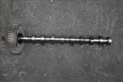 Ford Transit Connect Mk2 vezérműtengely (9657477580)