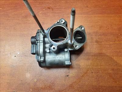 NISSAN X-TRAIL II, NISSAN QASHQAI (J11), RENAULT LAGUNA III, RENAULT MEGANE III, RENAULT ESPACE, RENAULT TRAFIC II EGR / AGR Vákum Szelep (Motorkód: M