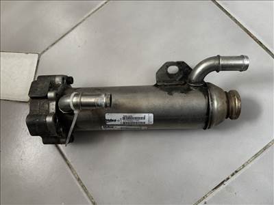 Volvo XC90, Volvo S60, Volvo V60, Volvo V70, Volvo XC70 2.4 D5 EGR hűtő  8801828
