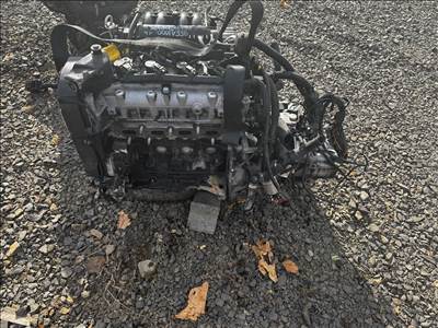 Fiat Grande Grande Punto 1.4 16V motor 955A1000