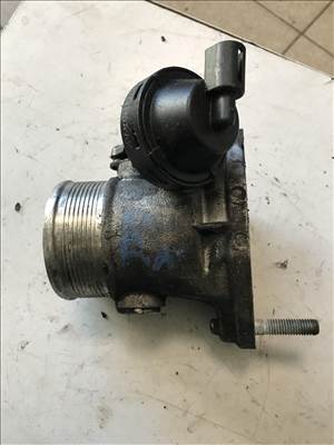 Volkswagen Passat B5 2,5 V6 TDI - fojtószelep 8e0145950c