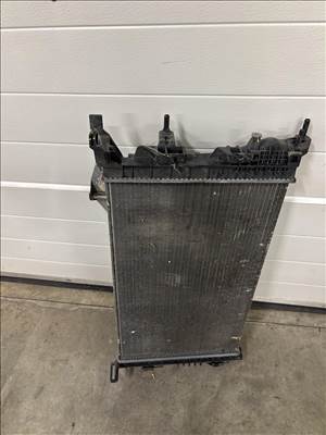 Renault Mégane III Megane 1.5 Dci vízhűtő 214105378r