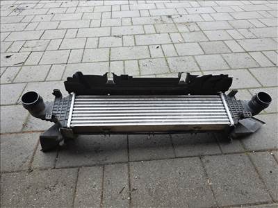 Mercedes CLS-osztály W218 CLS 218 350 cdi cooler huto