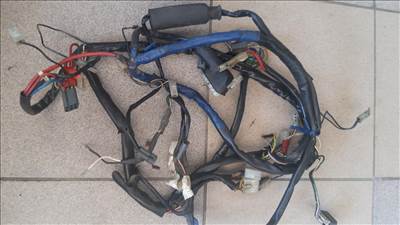 Piaggio Free kábelköteg 