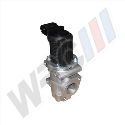 EGR szelep Fiat Punto Bravo II 50024005