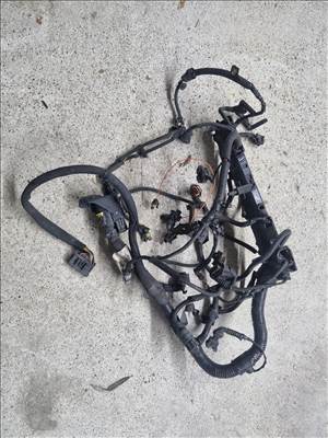 Fiat Ducato III kábelköteg  504260108