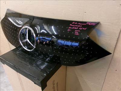 MERCEDES EQE A295 hűtő díszrács kamera 2022- A2958883500