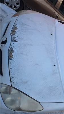 Toyota Corolla Verso (AR10) motorháztető 