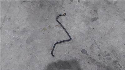 Renault MASTER Opel MOVANO 03 Víztartály termosztátház vízcső cső 9550 8200199020