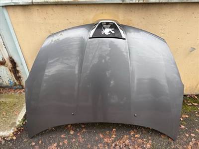 Peugeot 4007 PEUGEOT 4007 (GP_) Motorháztető