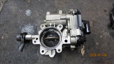 Fiat Doblo II 1.6 Multijet 16V fojtószelep (48CPD6, 55269004)