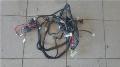 Aprilia Scarabeo ditech kábelköteg