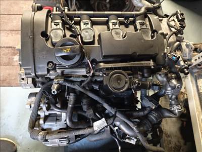 Seat León II, Volkswagen Golf V, Skoda Octavia II, Audi A3 (8P) 2.0 TFSi motor 