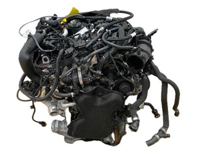 BMW X4 G02 Komplett motor sDrive 20i B48B16A