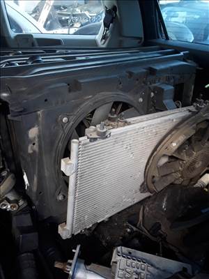 Citroën C4 Picasso I Grand Picasso HDi 110 FAP Homlokfal