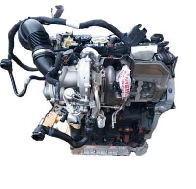 Volkswagen Golf VIII 1.0 TSI Komplett motor DLA