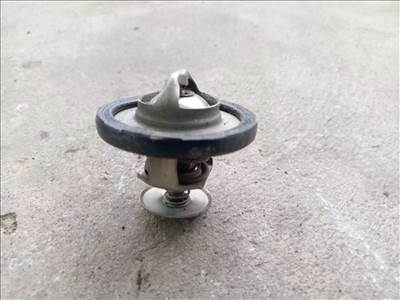 Ford Transit Tranzit MK7 06- Gyári termosztát hűtőfolyadék 5941