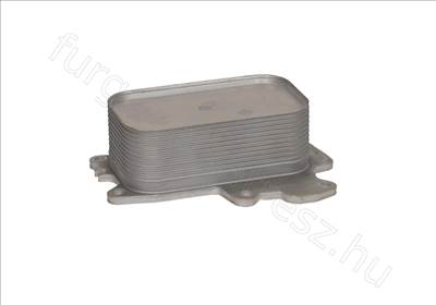 Olajhűtő Jeep Wrangler III 06> -  - FT04713 -  - Fastoriginal Utángyártott új 