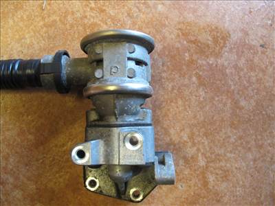 Golf V,Golf Plus, Jetta V Passat B6,Octavia II EGR 1.6 BSE