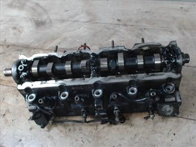 PEUGEOT 306 93-97 Hengerfej, diesel