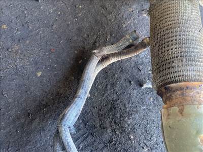 Citroën Jumper III részecskeszűrő  1379607080 xlwb20