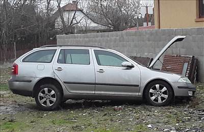 Skoda Octavia II 1.9 TDI Kilométer óra 
