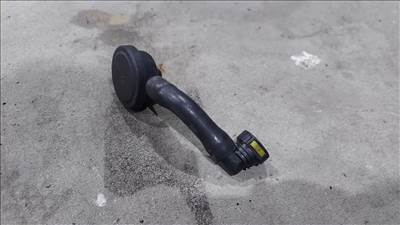 Renault MASTER Opel MOVANO 06- Kartergáz szelep szűrő lecsapató 9505
