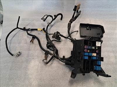 Suzuki SX4 S-Cross I (JY) Biztosíték doboz