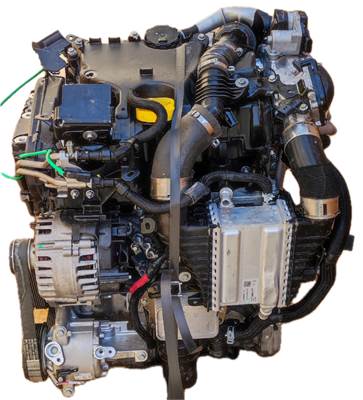 Renault Kangoo III 1.5 Blue dCi 75 Komplett motor K9K876