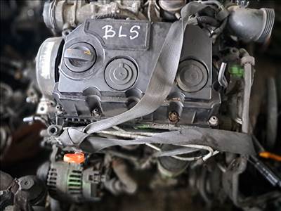 Volkswagen Golf V, Volkswagen Passat B6 VW 1.9 PDtdi motor garanciával