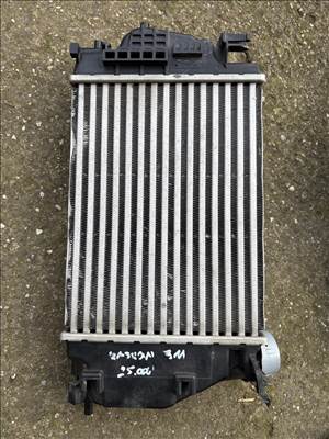 Nissan Qashqai (J11) Qashqai intercooler 
