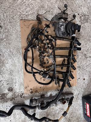 Audi Q7 (4L) 3.0 Tdi porlasztók 