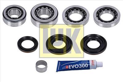 Javítókészlet, differenciál Schaeffler LuK 462 0216 10 for BMW