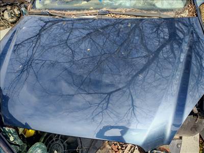 Kia carens motorháztető 