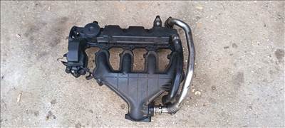  2.0 hdi tdci Rhr szívósor, szelepdekni.  9645977980