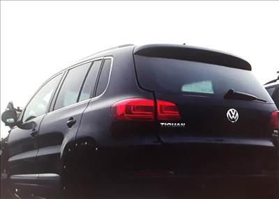 Volkswagen Tiguan I 1.4 TSI 4Motion Jobb hátsó ajtó üresen 