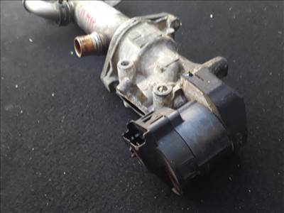 Peugeot 307 407 2.0HDI EGR 
