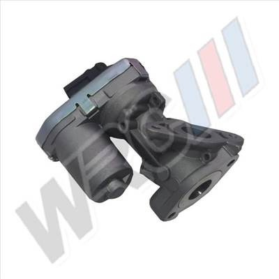 EGR szelep Peugeot Boxer 1618HQ