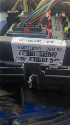 Peugeot 206 2.0 hdi bsm biztosítéktábla  9657608780 bsm3