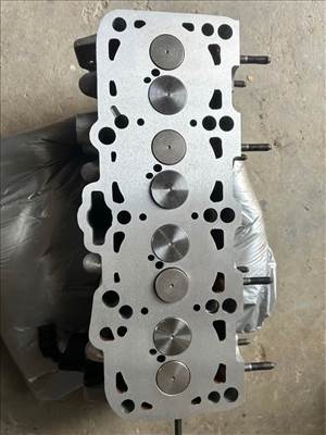 Volkswagen Golf IV 1.9 TDI hengerfej 