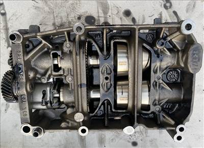 Volkswagen Passat VW, Audi, Skoda 2.0 CRTDI Balansz tengely + olajszivattyú  03l103537