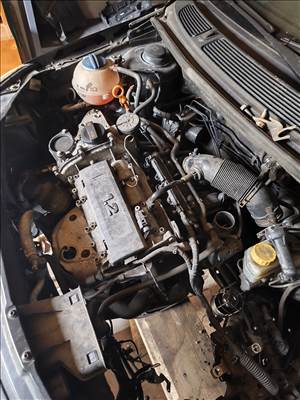 Volkswagen Polo V, Skoda Fabia II, Seat Ibiza IV CGPA motor 