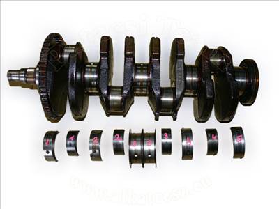 Opel Frontera A 1991-1998 - főtengely, (c/x/z)18,20(leh/ne/nej/se/seh/sel/xe/xev)