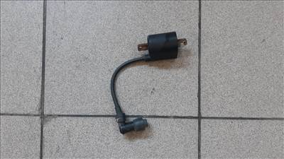 Malaguti Madison 250 trafó