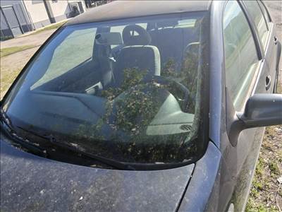 Volkswagen Bora 1.4 Szelvedo,ulles