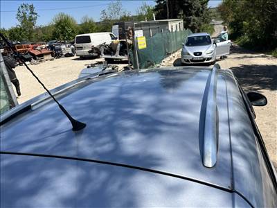 Volkswagen Tiguan I Nagy tető LA7W