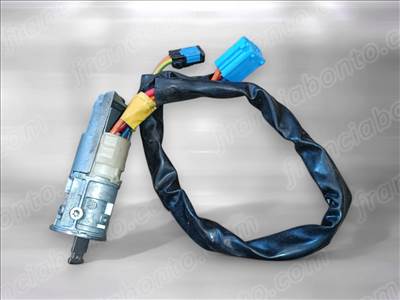 Citroën Xsara Picasso, Peugeot 206 Gyújtáskapcsoló 4162Z1