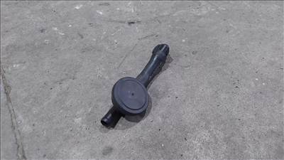 Renault MASTER Opel MOVANO 06- Kartergáz szelep szűrő lecsapató 1242