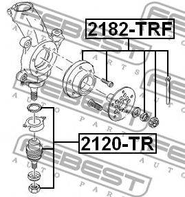 FEBEST 2120-TR - Lengőkar gömbfej FORD FORD AUSTRALIA FORD USA LINCOLN MERCURY
