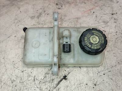 Renault Scénic III Szervóolaj Tartály *151381* 4600910004r